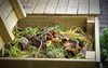 How We Can Use the Energy in Biomass
