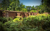 Hiding Your Prepper Garden After a Collapse