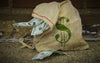 Finding Money for Prepping