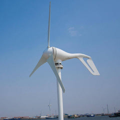 400W Wind Turbine & 600W Generator with Controller 12/24V, 3/5 Blades